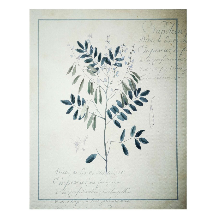 Wall Art * | Honeybloom Botanical Leaf & Script Canvas Wall Art, 16 20 Special Design