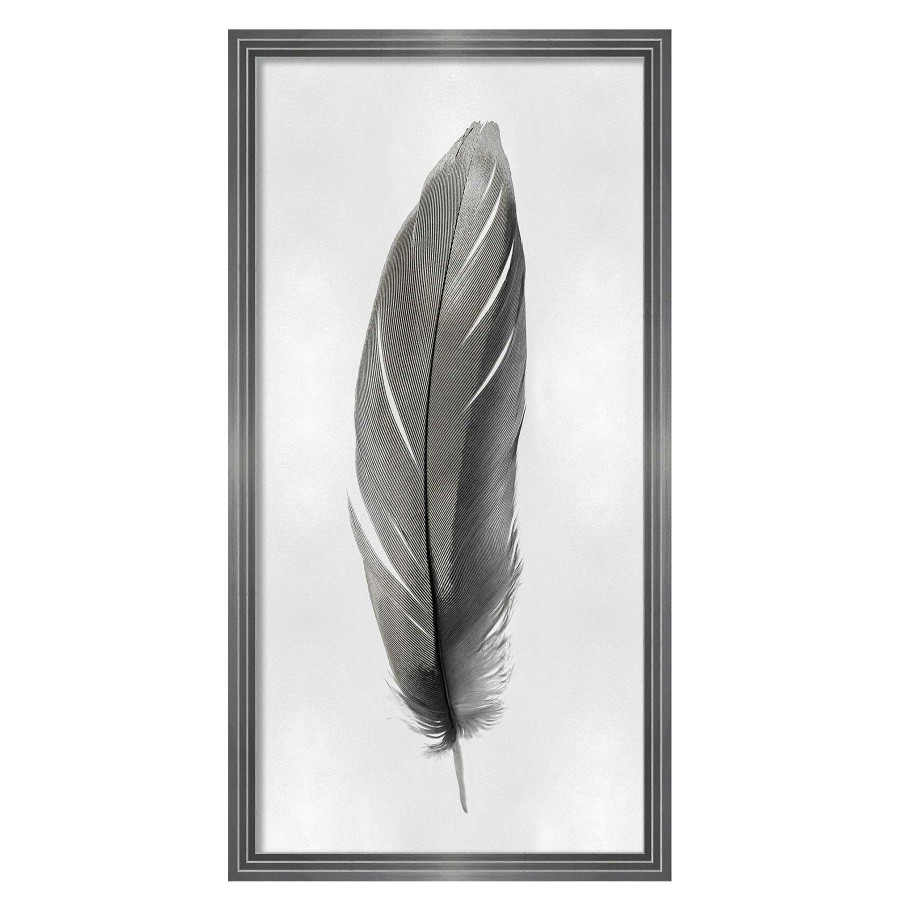 Wall Art * | Laila Ali 20X38 Framed Feather Print Under Glass Discounts Online