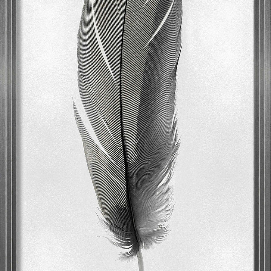 Wall Art * | Laila Ali 20X38 Framed Feather Print Under Glass Discounts Online