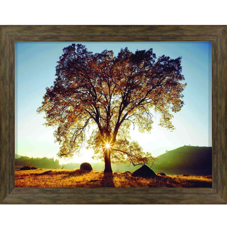 Wall Art * | 36X46 Black Oak Sunset Textured Framed Art Limited Edition