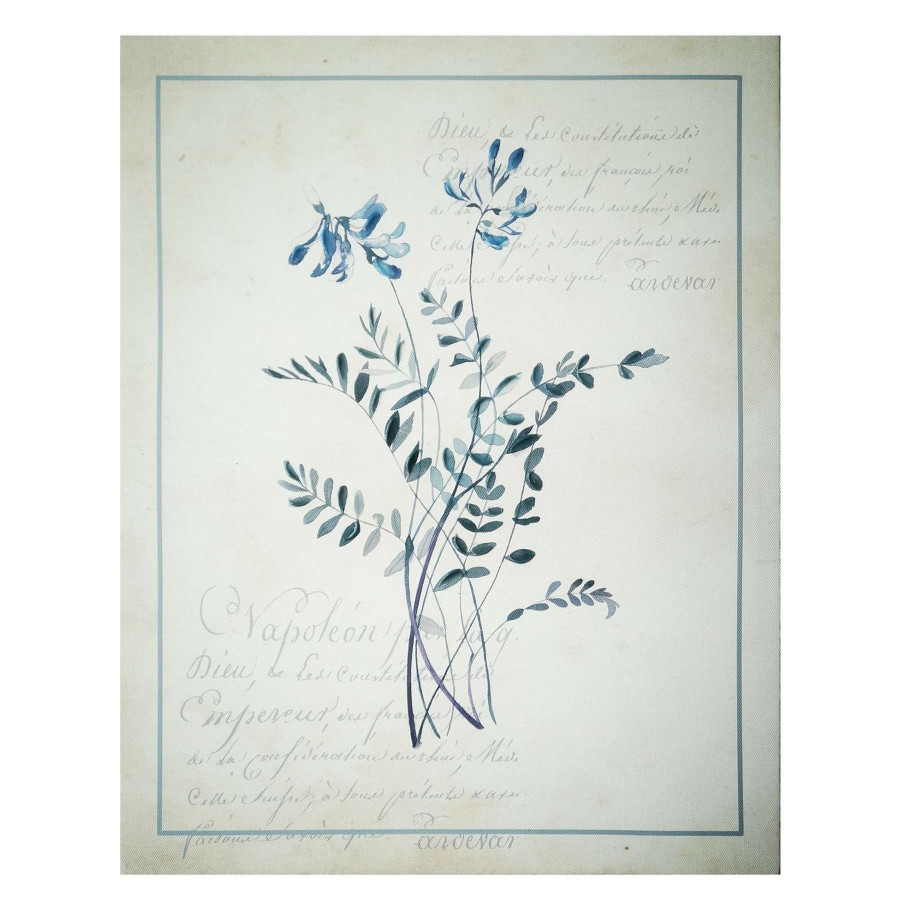 Wall Art * | Honeybloom Botanical Leaf & Script Canvas Wall Art, 16 20 Limited Edition