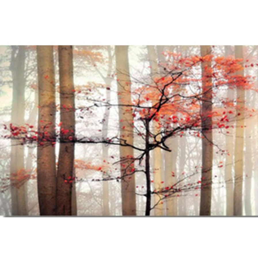 Wall Art * | Orange Awakening Landscape Photography Canvas Wall Art, 24 36 Hot Sell