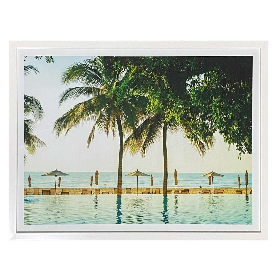 Wall Art * | Framed Tropical Print Under Glass, 25 19 Excellent Quality