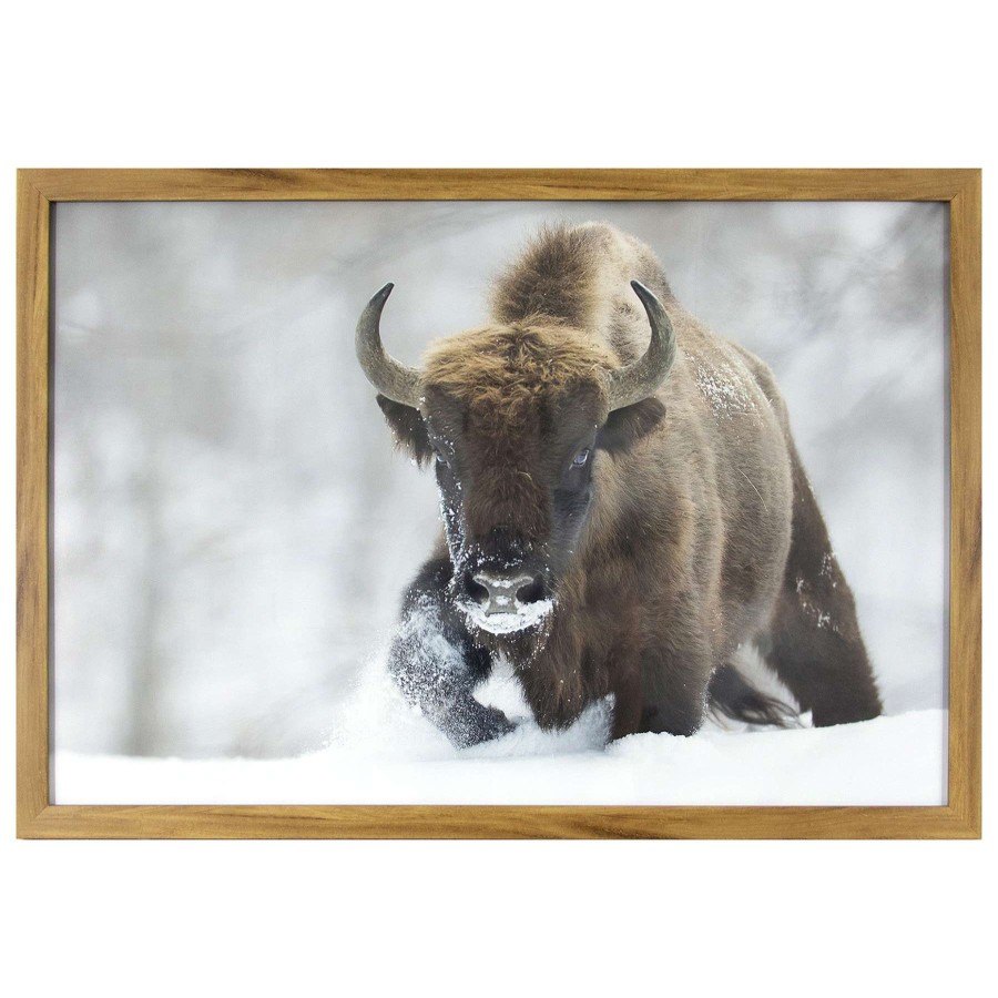 Wall Art * | Framed Buffalo Wall Art, 27 18 Unique Style