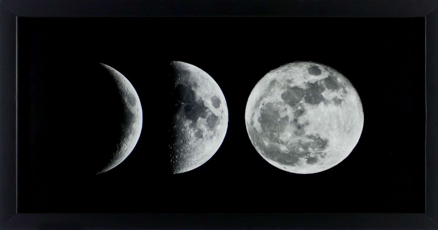 Wall Art * | 12X24 Moon Phases Art Framed/Glass Discount Store