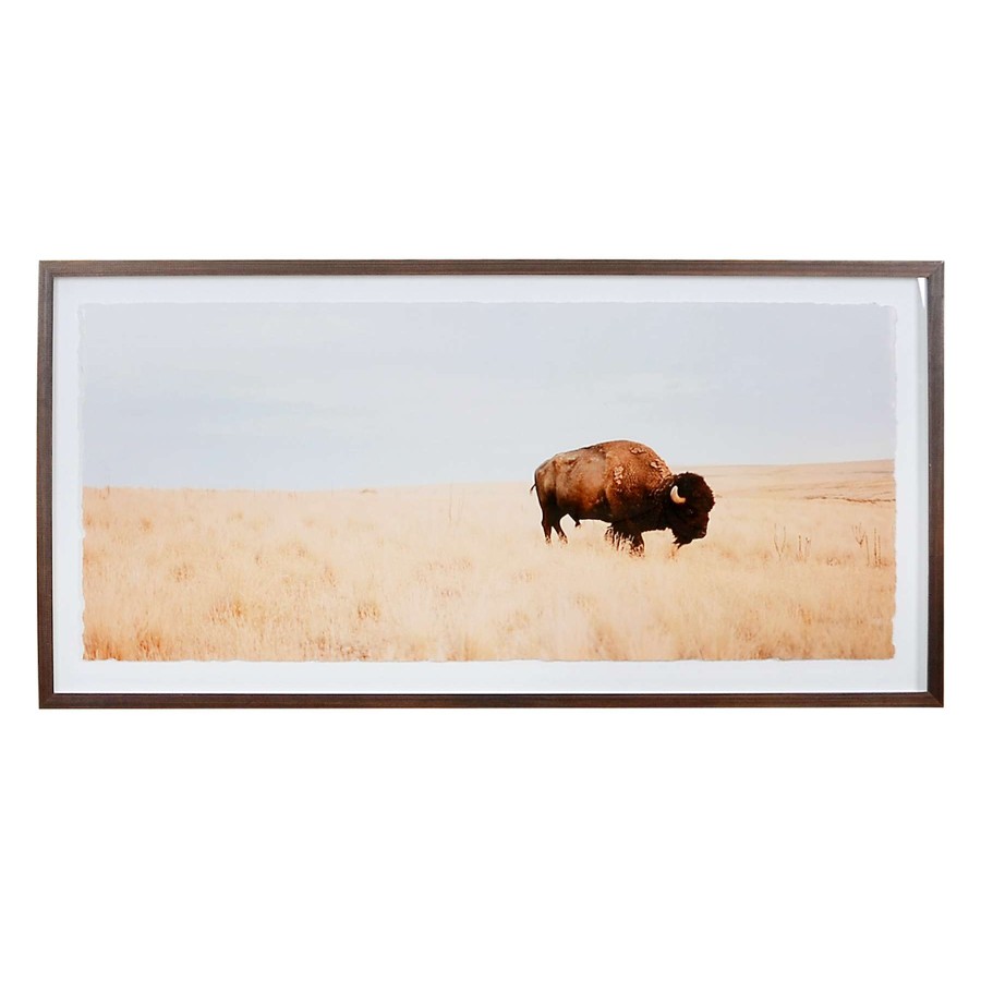 Wall Art * | Ty Pennington 19X39 Framed Buffalo Print Under Glass Best Sale