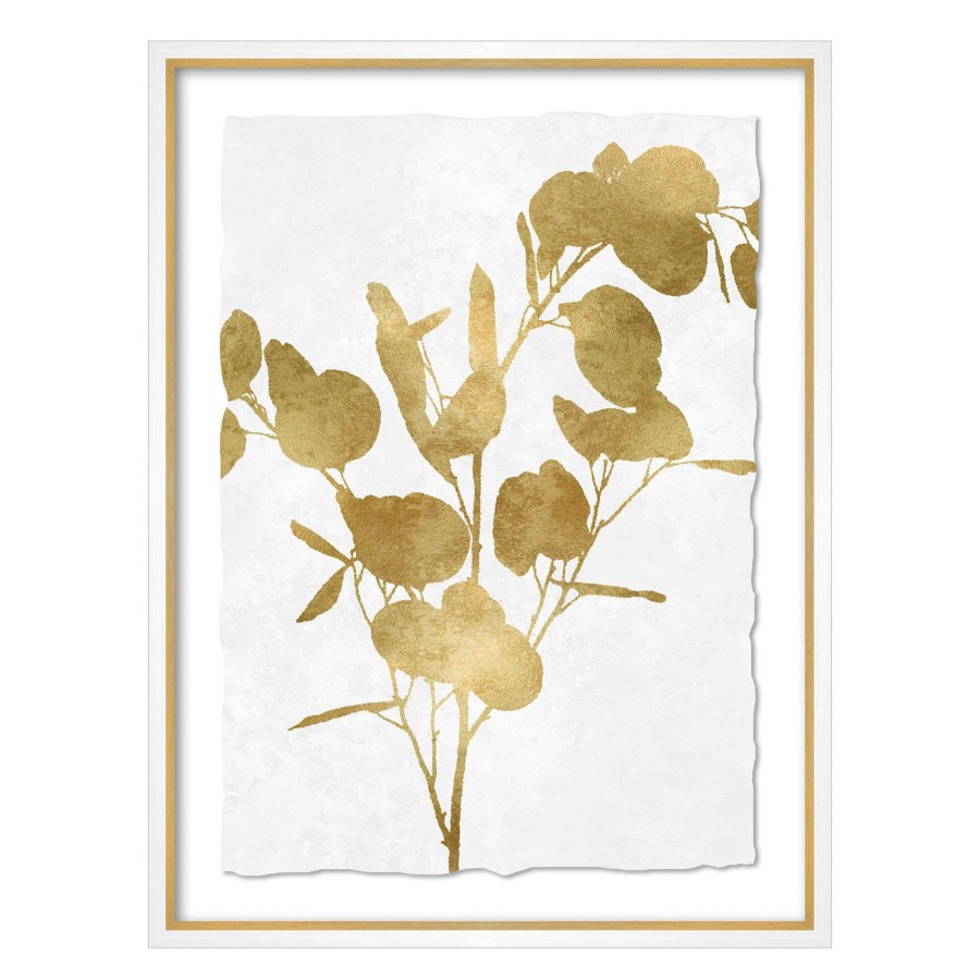 Wall Art * | Tracey Boyd 19X25 Framed Botanical Print Under Glass Latest Fashion