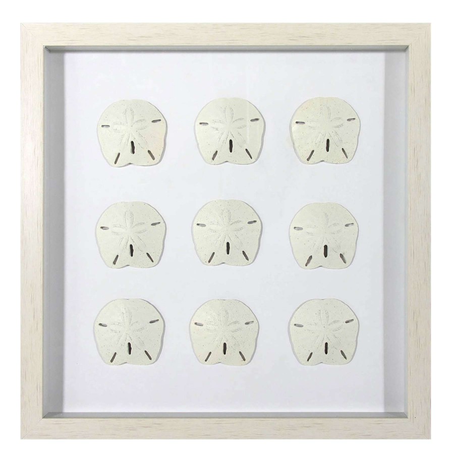 Wall Art * | Ty Pennington Framed Sand Dollar Wall Art, 16 Brilliant Design