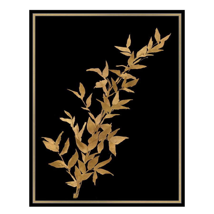 Wall Art * | Tracey Boyd 24X30 Framed Botanical Print Under Glass Half Price