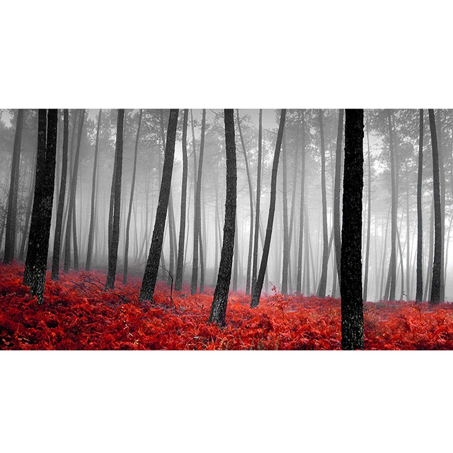 Wall Art * | Autumn Woods Canvas Wall Art, 60 36 Hot Sell