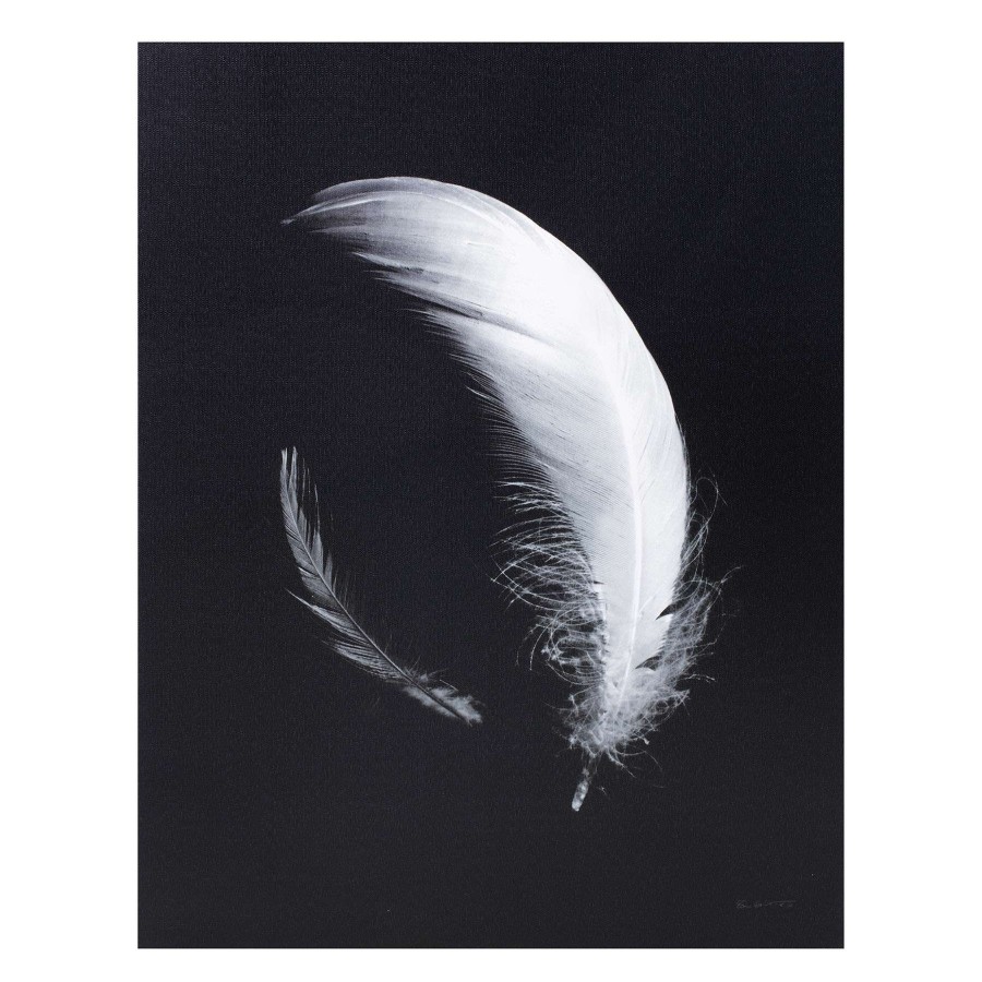 Wall Art * | Laila Ali 22X28 Feather Canvas Online Discount